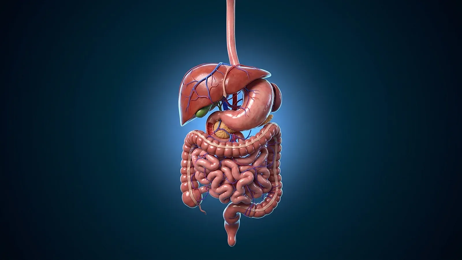 Kodierung in der Gastroenterologie