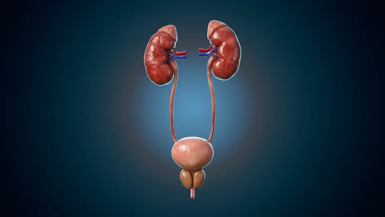 Kodierung in der Urologie