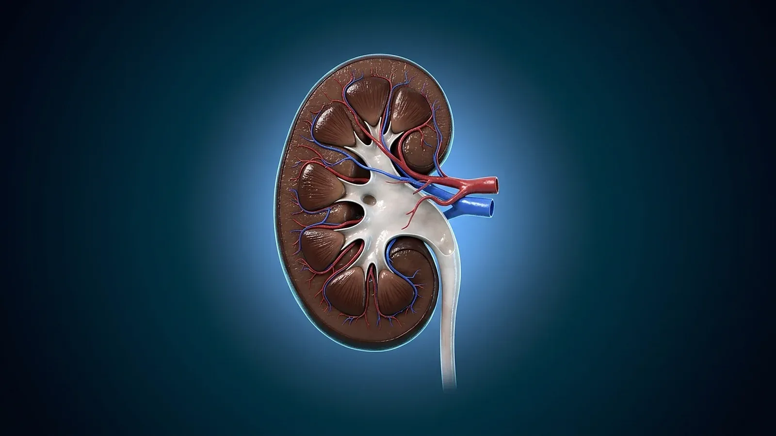 Kodierung in der Nephrologie und Dialyse